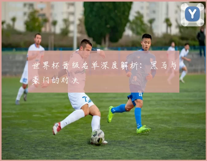 世界杯晋级名单深度解析:黑马与豪门的对决