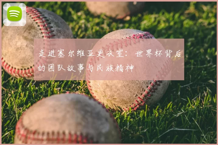 走进塞尔维亚更衣室:世界杯背后的团队故事与民族精神