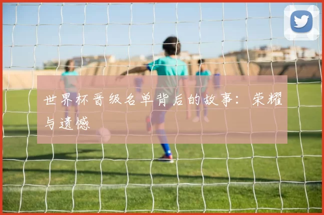 世界杯晋级名单背后的故事:荣耀与遗憾