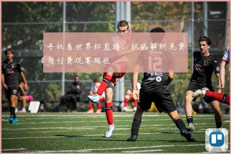 手机看世界杯直播:权威解析免费与付费观赛路径