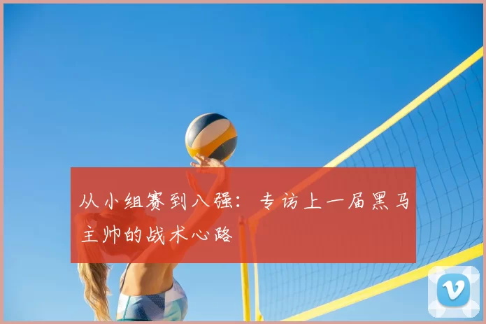 从小组赛到八强:专访上一届黑马主帅的战术心路