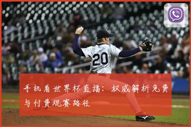 手机看世界杯直播:权威解析免费与付费观赛路径
