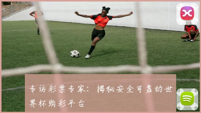 专访彩票专家：揭秘安全可靠的世界杯购彩平台