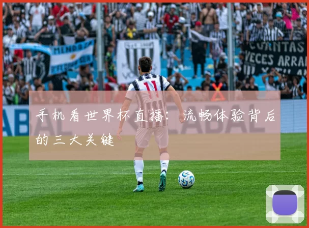 手机看世界杯直播:流畅体验背后的三大关键