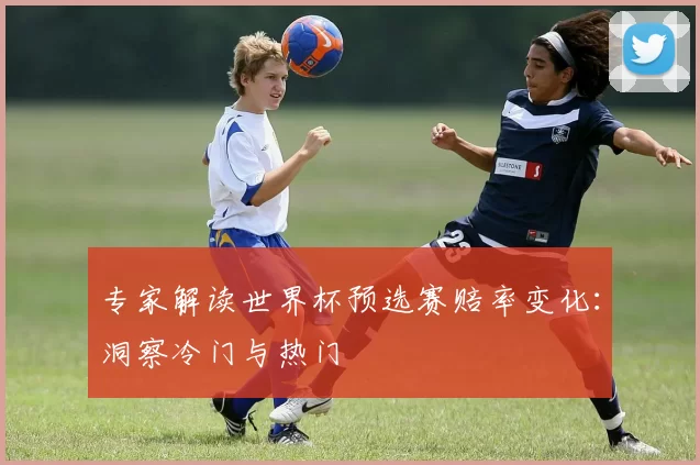 专家解读世界杯预选赛赔率变化:洞察冷门与热门