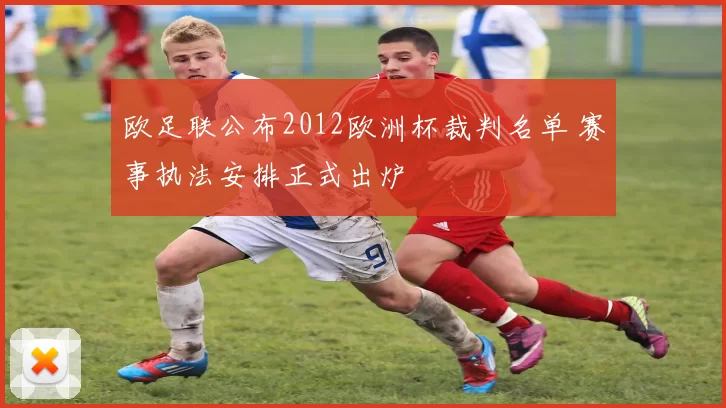 欧足联公布2012欧洲杯裁判名单 赛事执法安排正式出炉